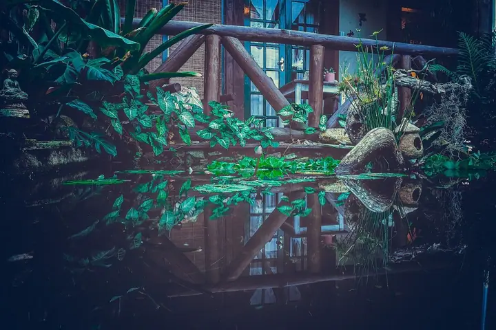 Jardim tropical com espelho d'água refletindo a construção de madeira e a vegetação