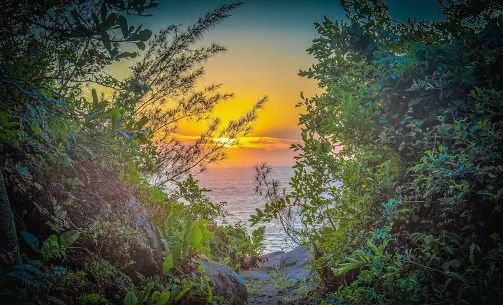 Sol baixo no horizonte do mar, emoldurado pela mata e pelas pedras do costão